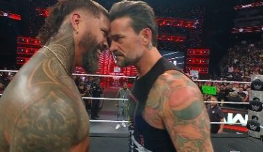 Jey Uso will fight for the vacant world title after taking out his own twin brother