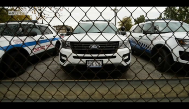 Over 500 Chicago officer still carry controversial gun: CPD – NBC Chicago