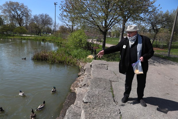 Artist Tony Fitzpatrick feeds ducks in Humboldt Park's lagoon on May 9, 2020. (Chris Sweda/Chicago Tribune)