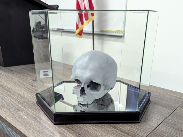 A resin replica of the skull which was found hidden in the wall of a Batavia home in the late 1970s was on display at a press conference at the Kane County Coroner's Office. The coroner said the skull found in the home was identified as Esther Granger, an Indiana teen who died in the 1860s. (R. Christian Smith/The Beacon-News)
