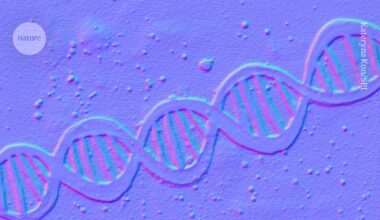 DNA circuits store data — with heat as their power source