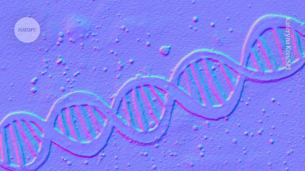 DNA circuits store data — with heat as their power source