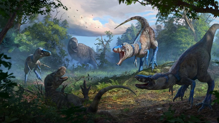 A artist's impression of a pack of Nanotyrannus attackin a juvenile T. rex.