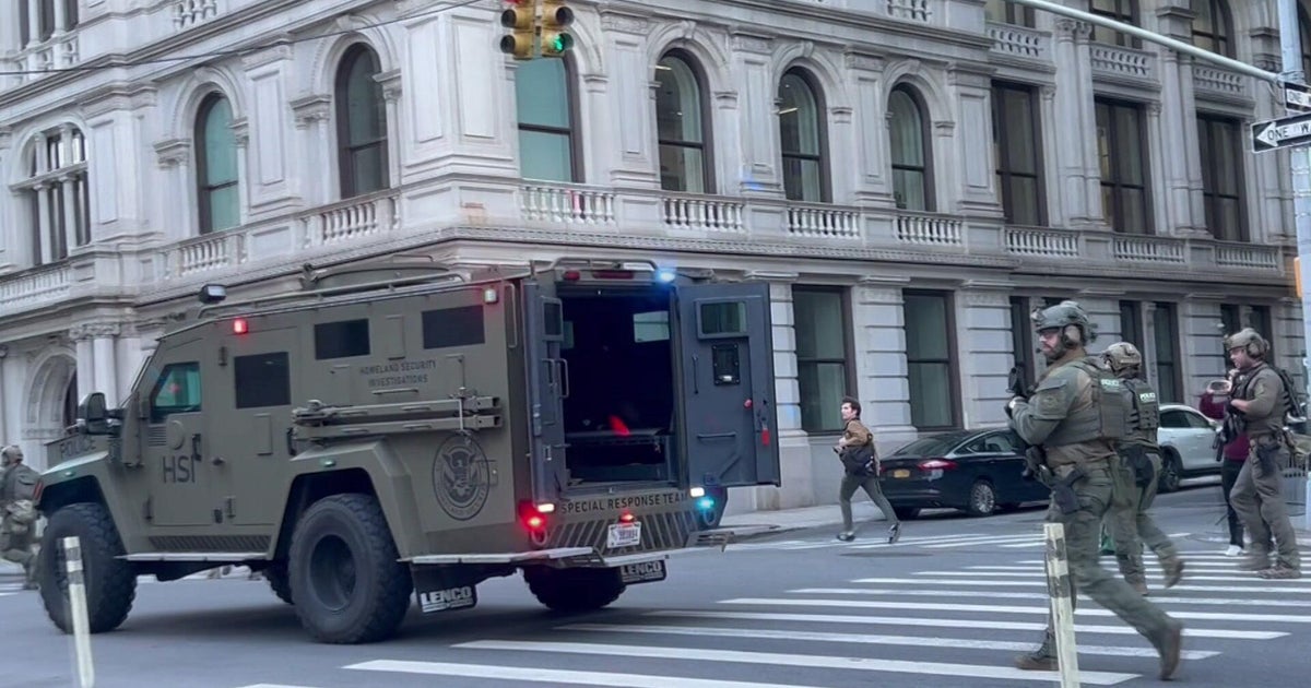 ICE raid on NYC's Canal Street picked up street vendors with criminal histories, DHS says