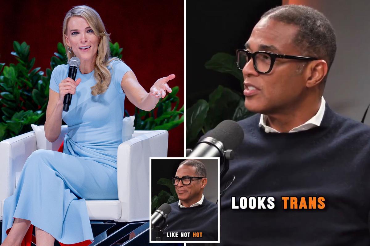 Don Lemon torched for saying Megyn Kelly looks 'trans'