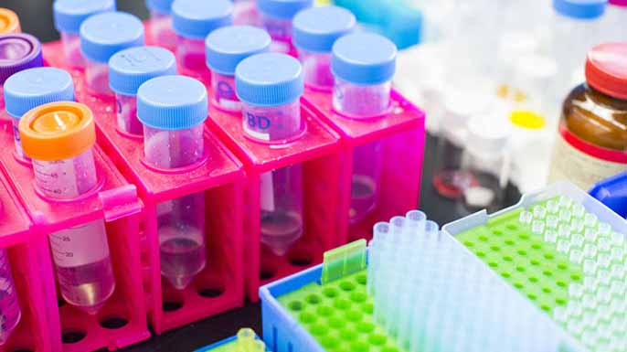 New Research Center Opens to Study Aging in LA