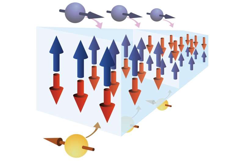 Dual torque from electron spins drives magnetic domain wall displacement