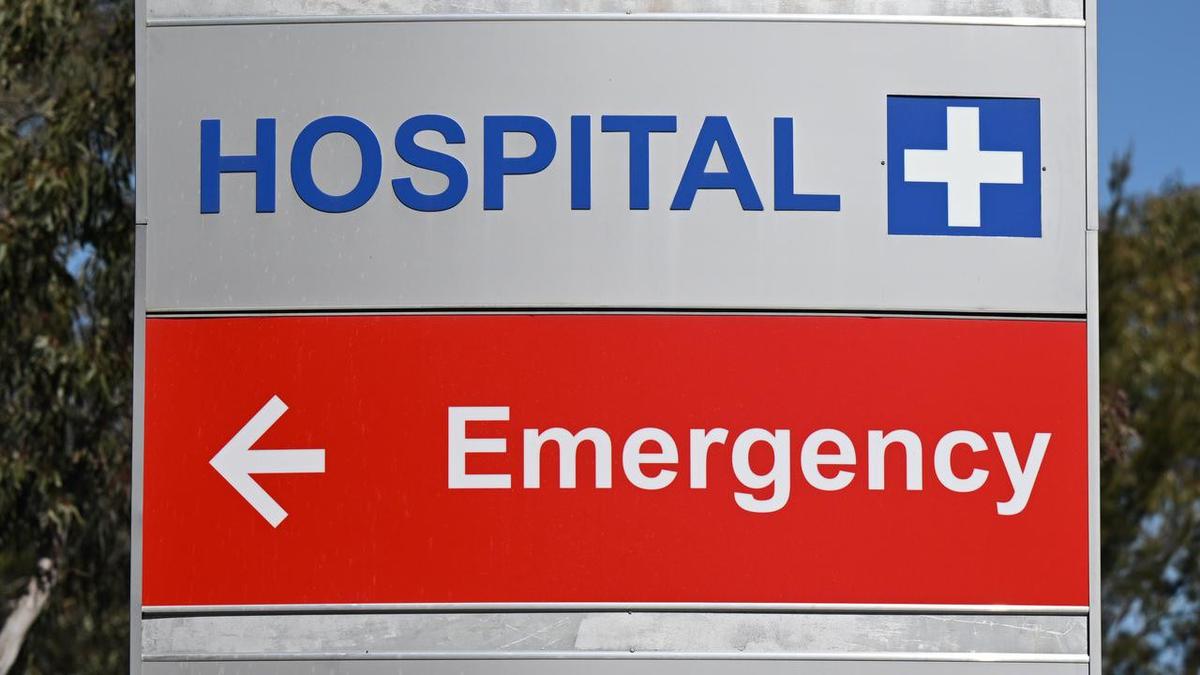 Dilnoor Kang: Nurse at Wagga Wagga mental health unit banned after escape room trip with young patient