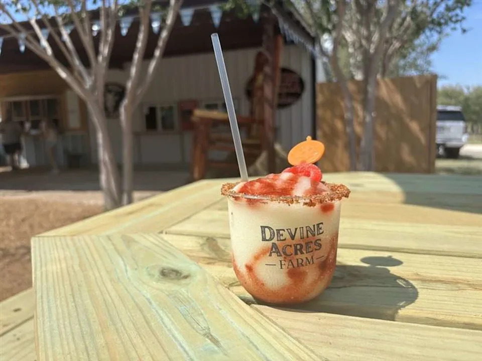 Devine Acres Farm is a 15-minute drive from Bigfoot, Texas. (Mia Valdez/MySA)