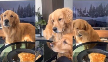 Yahoo lifestyle home