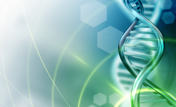 Monash scientists crack genetic ‘code’ behind RNA splicing, opening door to to new therapies