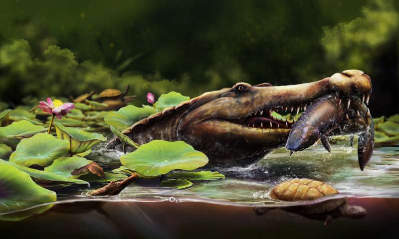 Life reconstruction of Wadisuchus kassabi from the Late Cretaceous of Egypt, showing an adult capturing a lungfish in a wetland, with a juvenile nearby. The scene highlights the ancient ecosystem, including turtles and lush vegetation, based on fossil evidence from the Quseir Formation. Paleoart by Nathan Dehaut. Credit: Nathan Dehaut—Artwork / MUVP—Scientific supervision Earliest long-snouted fossil crocodile from Egypt reveals the African origins of seagoing crocs