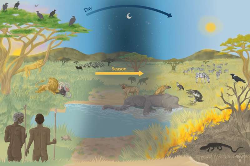 Eating carrion made us human