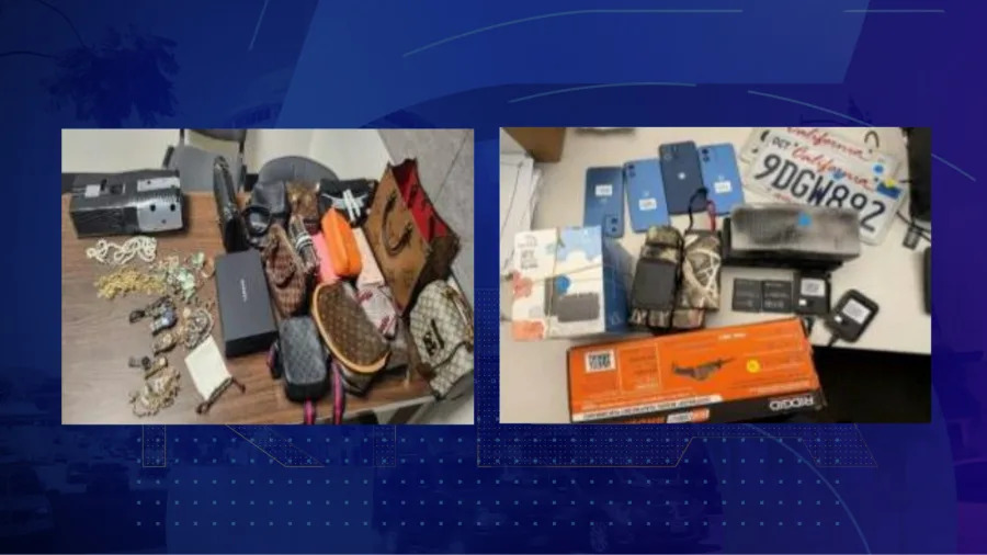 Two women accused of using a cleaning service app to enter homes and steal cash, jewelry, and luxury goods across the San Fernando Valley have been arrested. (Los Angeles Police Department)