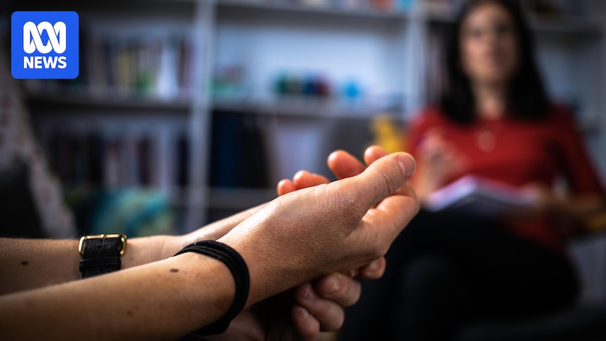 Queensland establishes state's first sexual violence peak body, with hopes it will bring victim-survivors' voices to 'hallways of power'