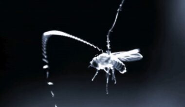 Flying Parasitic Worms Use This Superpower to Ambush Prey Midair