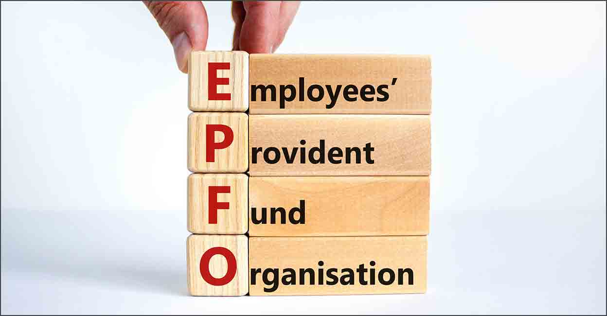 Photo: Shutterstock/Dmitry Demidovich