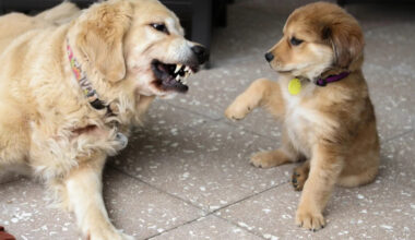 Yahoo lifestyle home