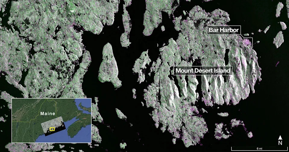 Captured on Aug. 21, this image from NISAR’s L-band radar shows Maine’s Mount Desert Island. Green indicates forest; magenta represents hard or regular surfaces, like bare ground and buildings. The magenta area on the island’s northeast end is the town of Bar Harbor.