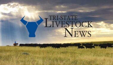 Varilek’s Cattle Call: Sideways market