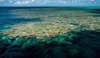 Since 2020, 4 of Australia’s natural World Heritage properties have deteriorated