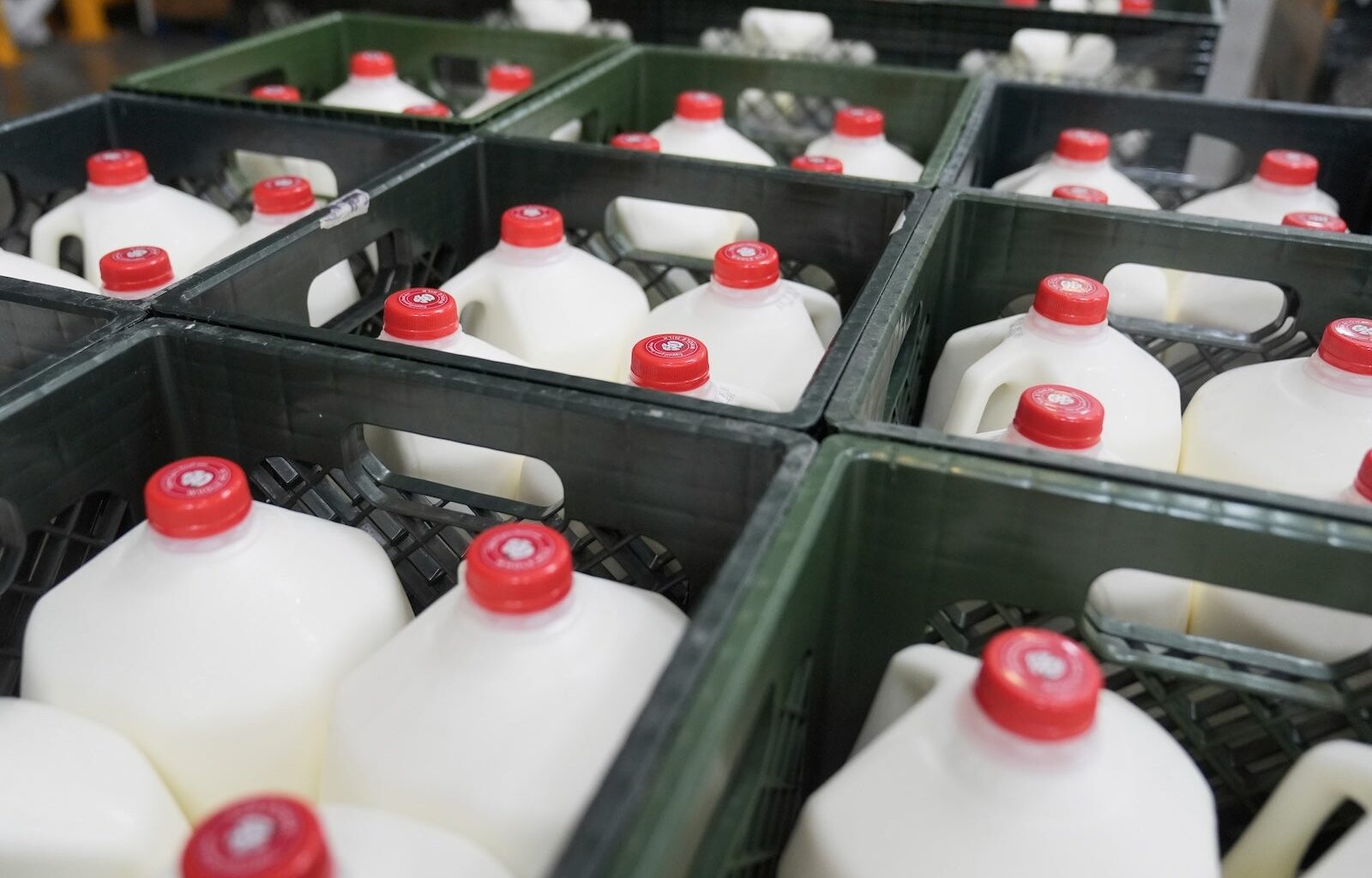 SNAP pause amid shutdown: How to find food and give help in Philly