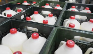 SNAP pause amid shutdown: How to find food and give help in Philly