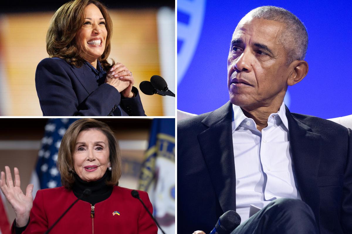 Obama’s reaction to Nancy Pelosi’s ‘surprise’ endorsement of Kamala Harris revealed