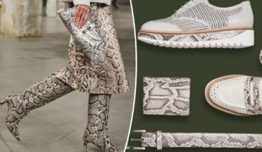 Florida solves invasive python problem by transforming luxury leather goods