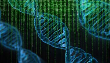 black alzheimer's genetics