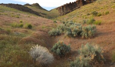 US government takes equity stake in one of the world’s largest lithium mines