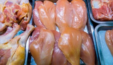 Nearly 1 in 5 urinary tract infections linked to contaminated meat, study finds