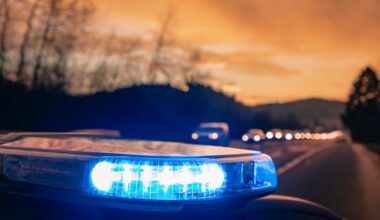 Honduran man killed on Virginia highway as he tried to escape ICE agents