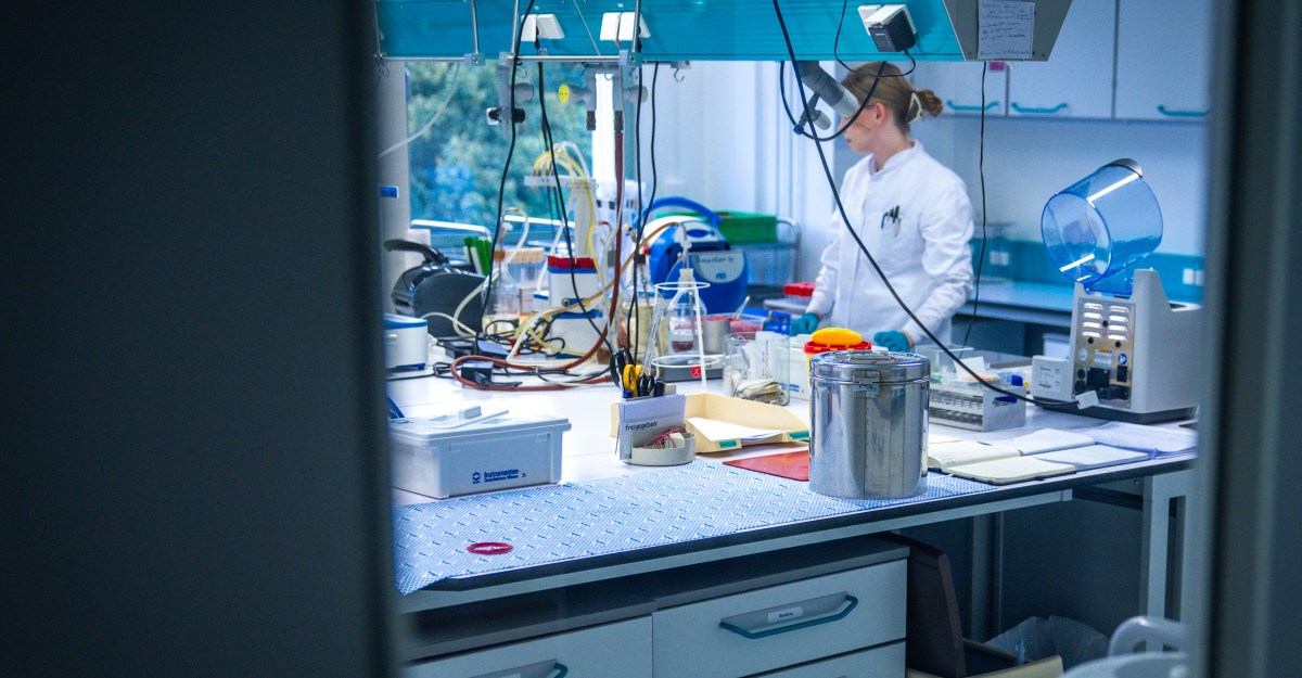 Mirror life could end the world. But maybe it could also help us?