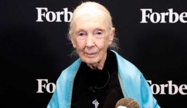 Jane Goodall, conservationist known for chimpanzee research, dies at 91