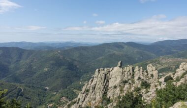 Cyclist falls down 130-foot ravine in France, survives 3 days by drinking wine he had in shopping bag
