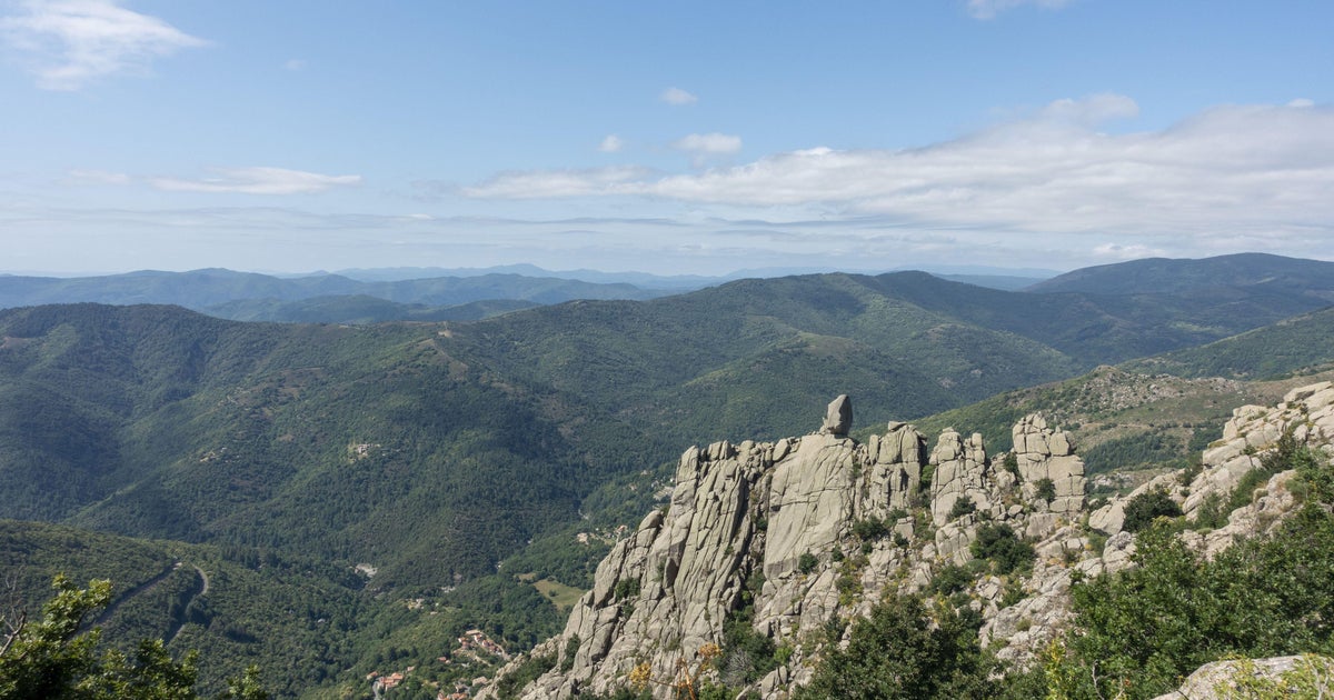 Cyclist falls down 130-foot ravine in France, survives 3 days by drinking wine he had in shopping bag