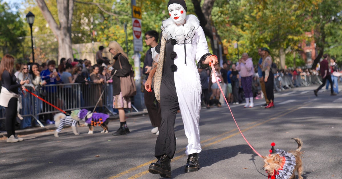 Halloween Dog Parade in NYC
