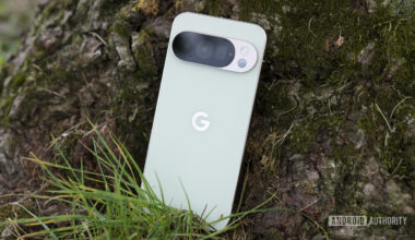 The Google Pixel 10 Pro in Jade, resting against a tree.