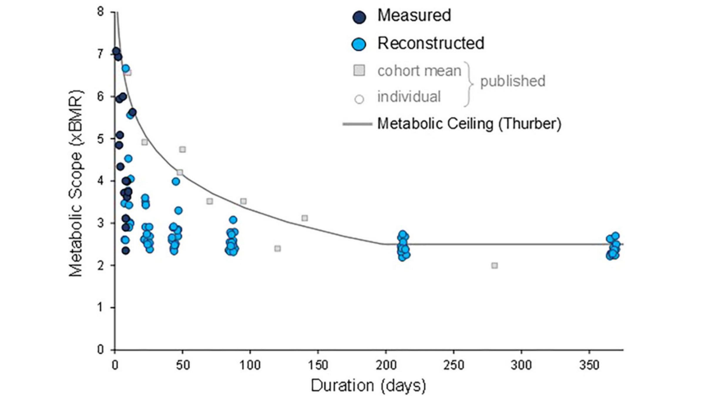The longer the duration, the lower the daily calorie burn you’re able to sustain.