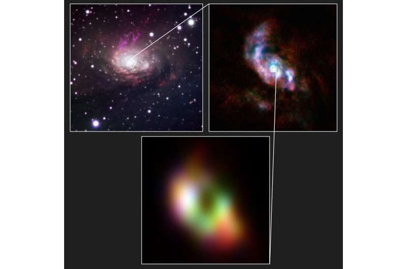 Greedy black hole feeds via two spiral arms