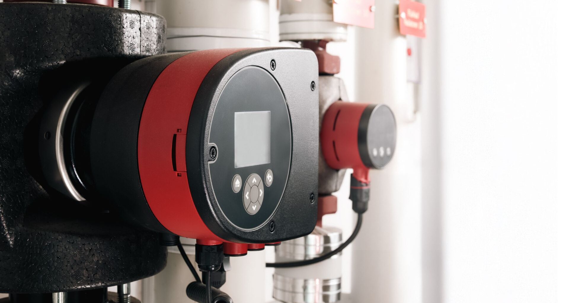 Well-preserved remains of 1,000-year-old man from Mexico reveal ancient microbiome details