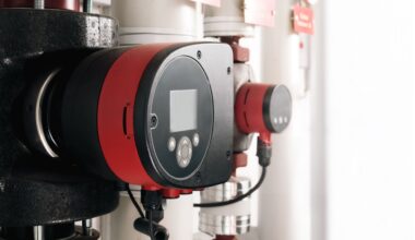 Well-preserved remains of 1,000-year-old man from Mexico reveal ancient microbiome details