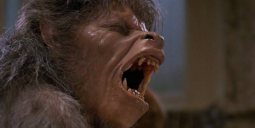 David transforms into a werewolf in An American Werewolf in London.