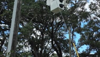 Streetlight out? JEA wants to know before Halloween – Action News Jax