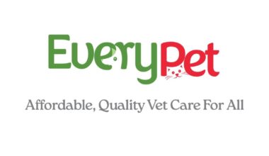 First Coast No More Homeless Pets rebrands to EveryPet as critical city funding renews – Action News Jax