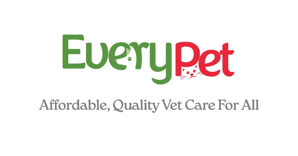 First Coast No More Homeless Pets rebrands to EveryPet as critical city funding renews – Action News Jax