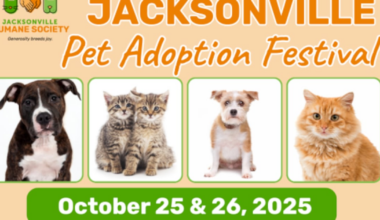 Pet Adoption Festival brings hundreds of pets to Jacksonville – Action News Jax