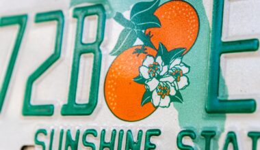 Drivers face charges under new Florida law banning obscured plates – Action News Jax