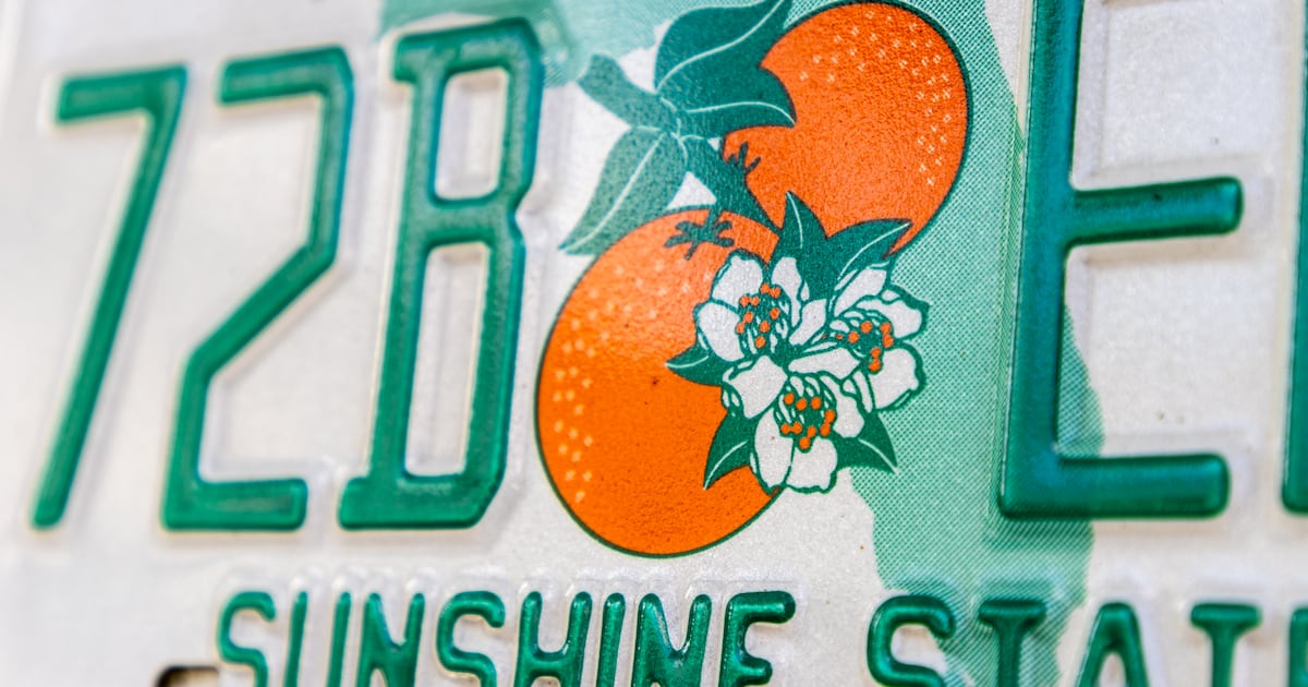 Drivers face charges under new Florida law banning obscured plates – Action News Jax